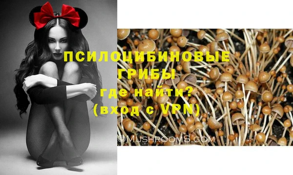 синтетический гашиш Алексин