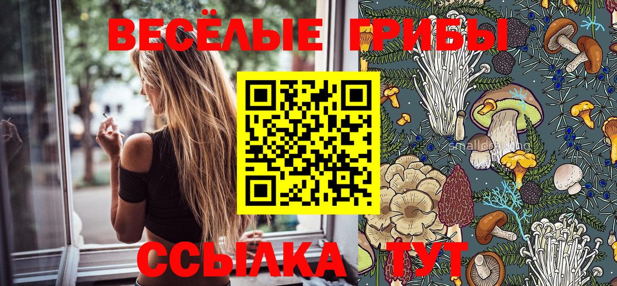 Галлюциногенные грибы Psilocybine cubensis  Вход с VPN  Краснознаменск 